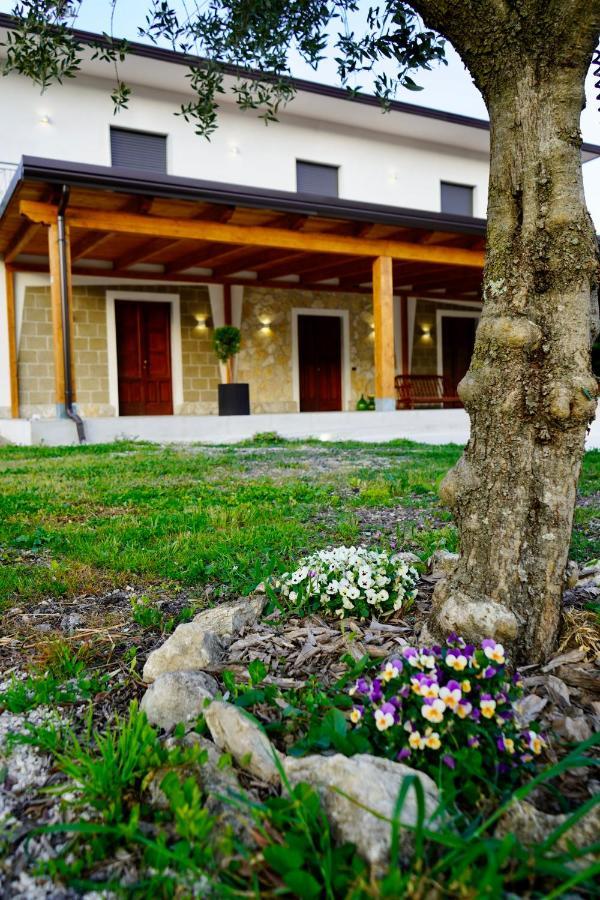 Bed and Breakfast Atomos Alvignano Екстер'єр фото